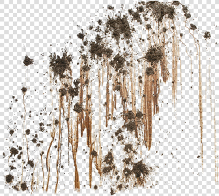 Splash Mud Splatter Stain Foreground Background   Mud Splatter Transparent Background  HD Png DownloadTransparent PNG