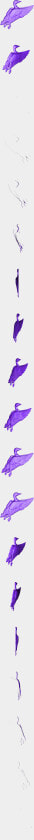 Waterfowl  HD Png DownloadTransparent PNG