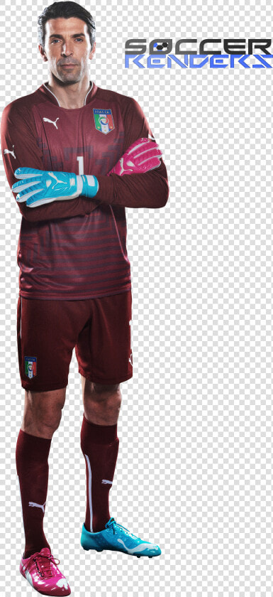 Buffon Png  Transparent PngTransparent PNG