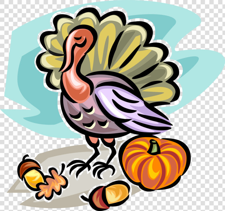 Vector Illustration Of Fall Or Autumn Harvest Pumpkin    Turkey  HD Png DownloadTransparent PNG