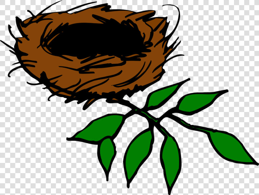 Bird Nest  Nest  Aerie  Birds  Leaves  Branch  Limb   Birds Nest Clipart  HD Png DownloadTransparent PNG