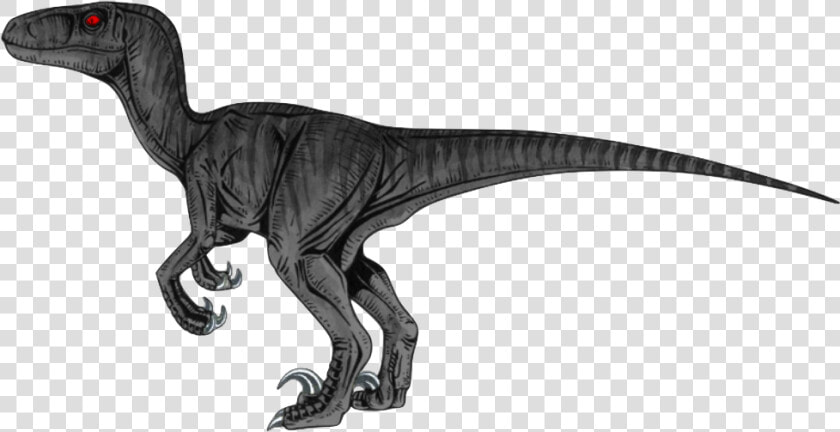 Velociraptor Png Transparent Hd Photo   Transparent Background Velociraptor Png  Png DownloadTransparent PNG