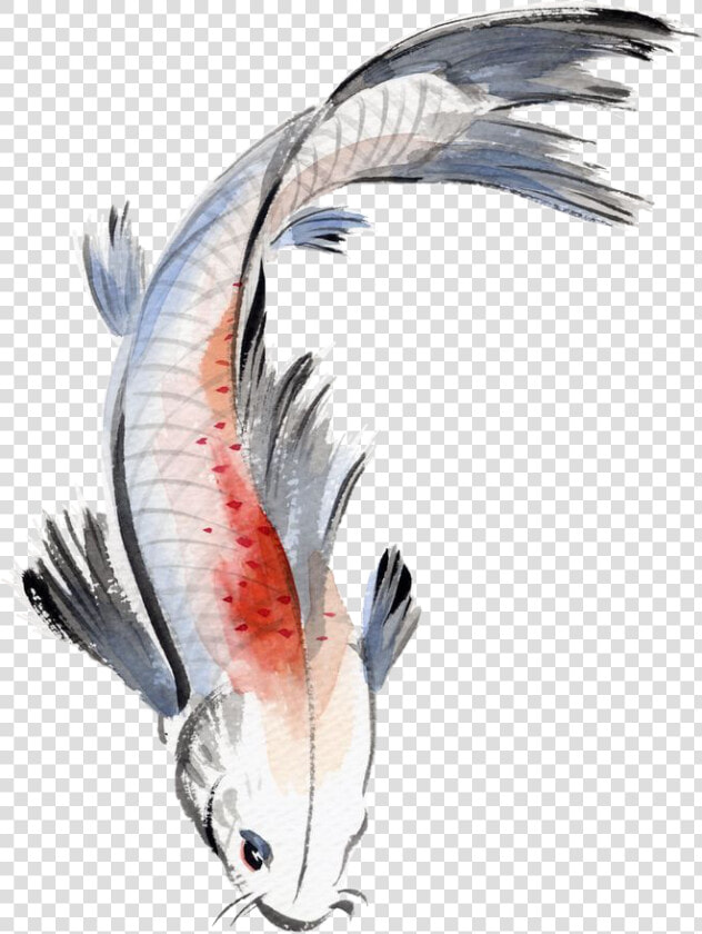  watercolor  painting  fish  koi  koifish  watercolour   Watercolor Koi Fish Png  Transparent PngTransparent PNG