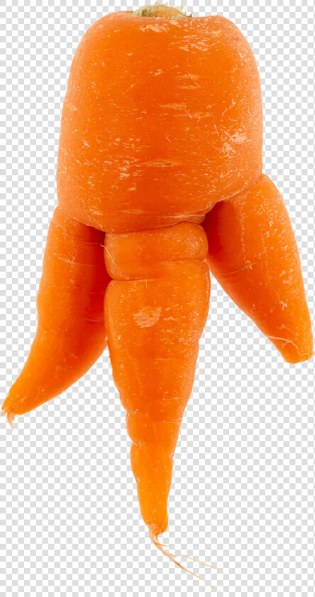 Baby Carrot   Png Download   Baby Carrot  Transparent PngTransparent PNG