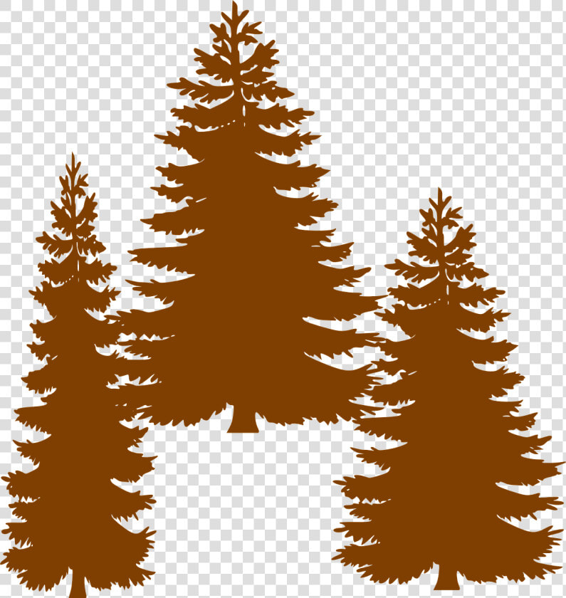 Pine Fir Tree Evergreen Clip Art   Clipart Black Pine Tree  HD Png DownloadTransparent PNG