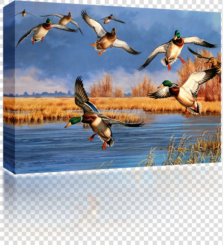 Ducks Unlimited  HD Png DownloadTransparent PNG