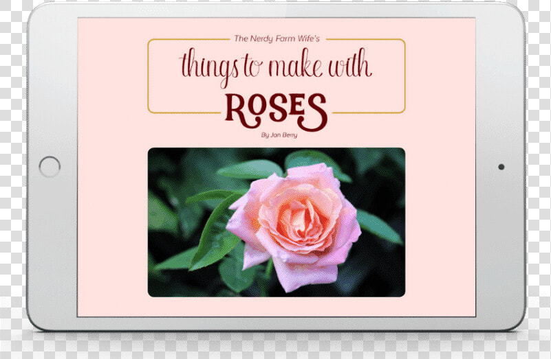 Things To Make With Roses Ebook By The Nerdy Farm Wife   Hybrid Tea Rose  HD Png DownloadTransparent PNG