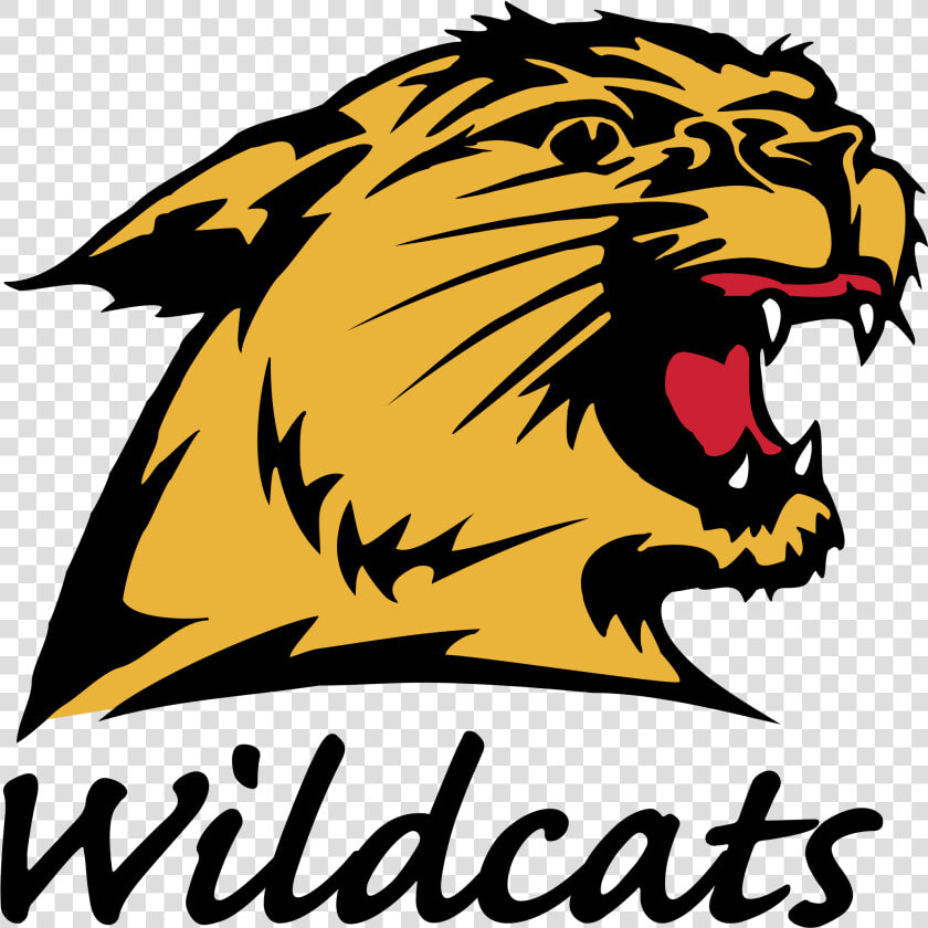 Nmu Wildcats Logo Png Transparent   Dougherty Valley High School Wildcat  Png DownloadTransparent PNG