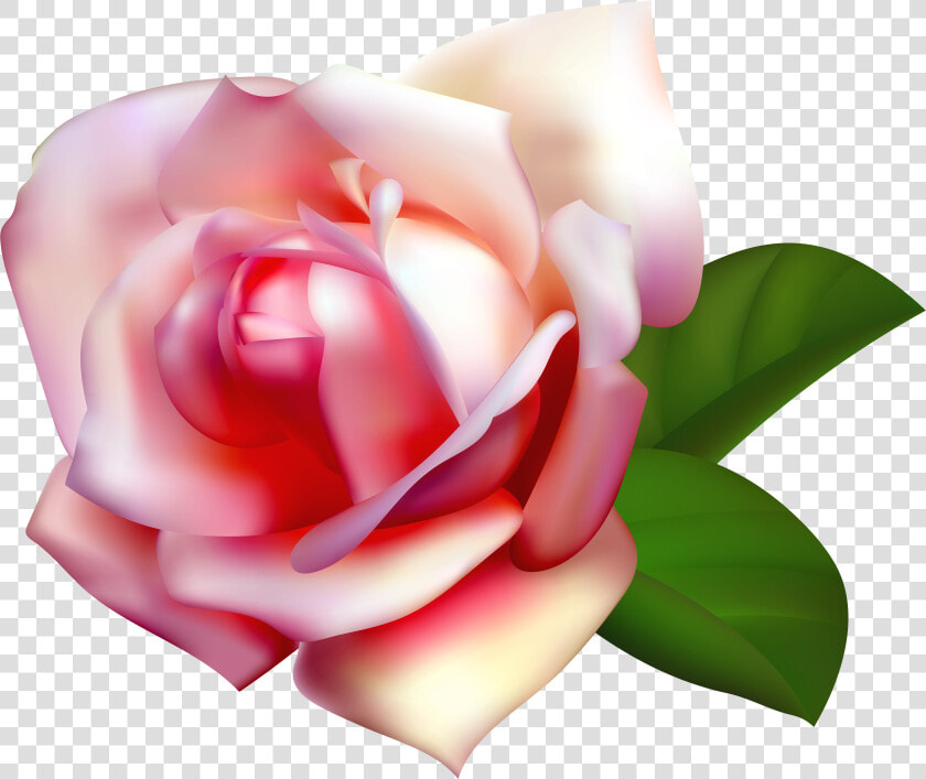 Beautiful Rose Clip Art   Transparent Background Light Pink Rose Flower Png  Png DownloadTransparent PNG