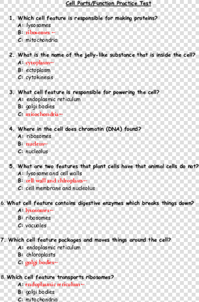 Cell Parts Function Practice Test  HD Png DownloadTransparent PNG