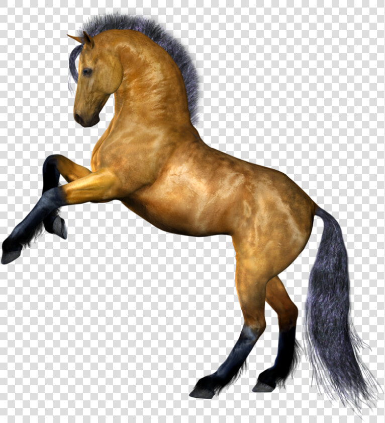 Horse Png Image  Free Download Picture  Transparent   Clear Background Horse Png  Png DownloadTransparent PNG