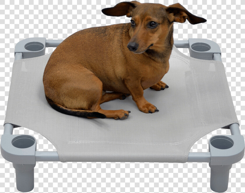 Solid Color Premium Weave Dog Cot   Companion Dog  HD Png DownloadTransparent PNG