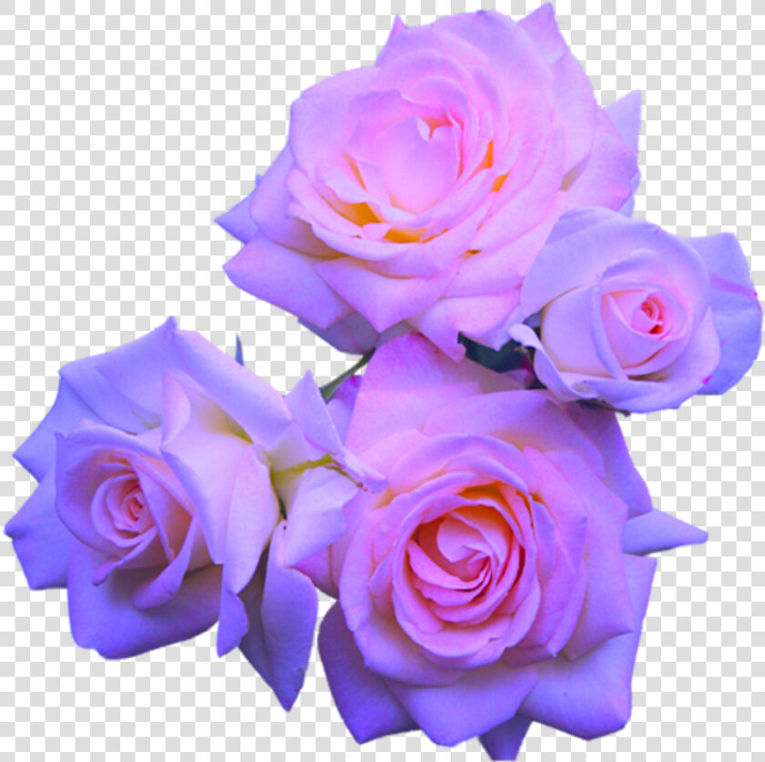 Transparent Aesthetic Flowers Png   Aesthetic Transparent Purple Stickers  Png DownloadTransparent PNG