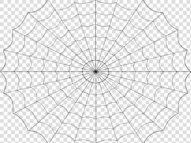 Drawn Spider Web Vector   Spider Web Cartoon Png  Transparent PngTransparent PNG