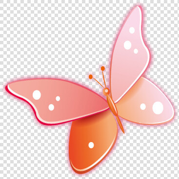 Brush footed Butterfly  HD Png DownloadTransparent PNG