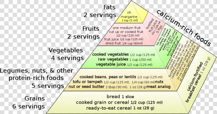 Vegan Food Pyramid   Weaning Food Related Chart  HD Png DownloadTransparent PNG