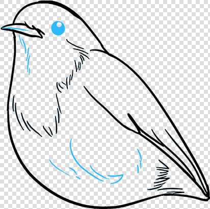 How To Draw Robin   Easy To Draw Robin  HD Png DownloadTransparent PNG