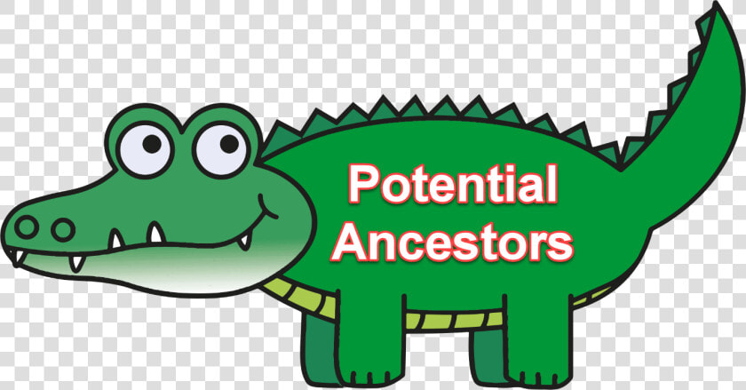 Gator   Clipart Alligator  HD Png DownloadTransparent PNG