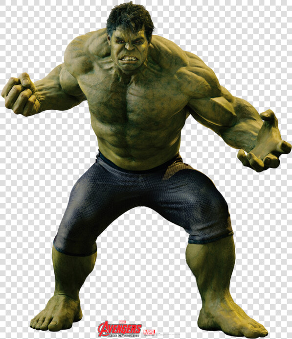 Hulk Avengers Full Body  HD Png DownloadTransparent PNG