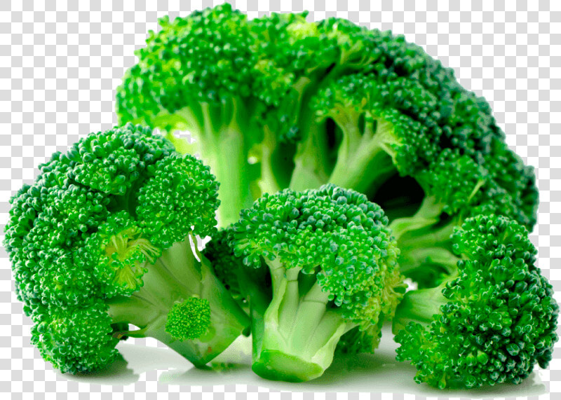 Steamed Broccoli Transparent Background  HD Png DownloadTransparent PNG