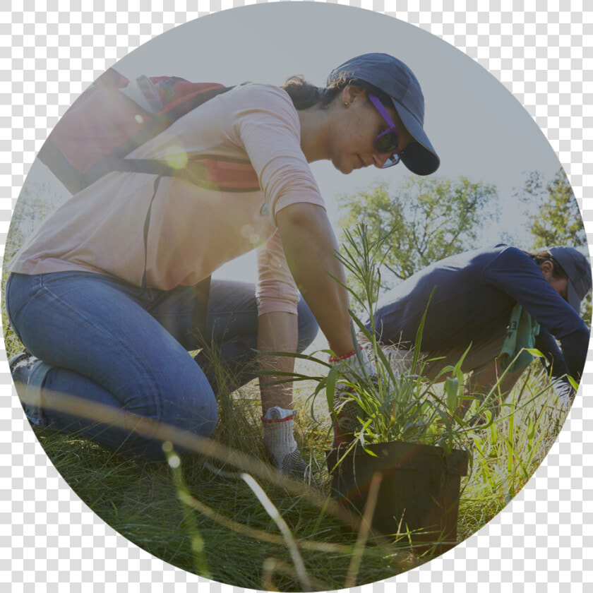 Involve   Volunteer   Grass  HD Png DownloadTransparent PNG