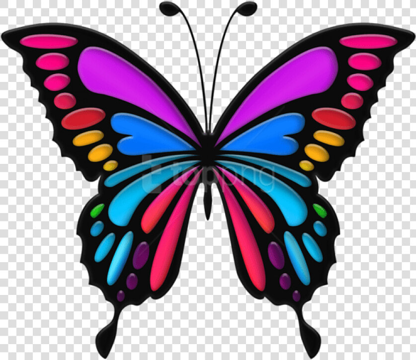 Butterfly Clipart Images   Colorful Butterfly Clipart  HD Png DownloadTransparent PNG