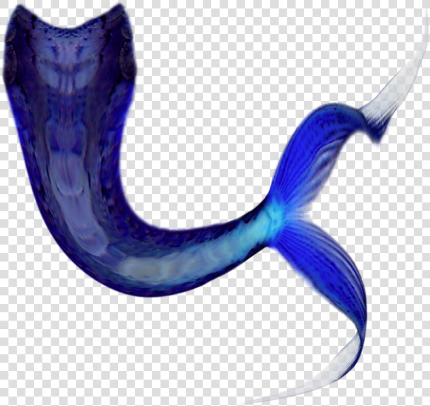 Share This Article   Mermaid Tail Cartoon Transparent  HD Png DownloadTransparent PNG