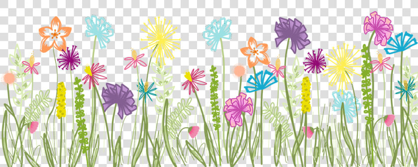 Untitled Artwork 1   Aster  HD Png DownloadTransparent PNG