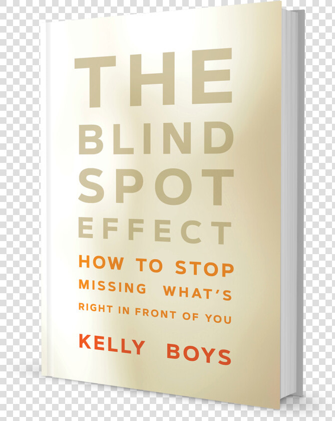 The Blind Spot Effect   Fabulous Beekman Boys  HD Png DownloadTransparent PNG