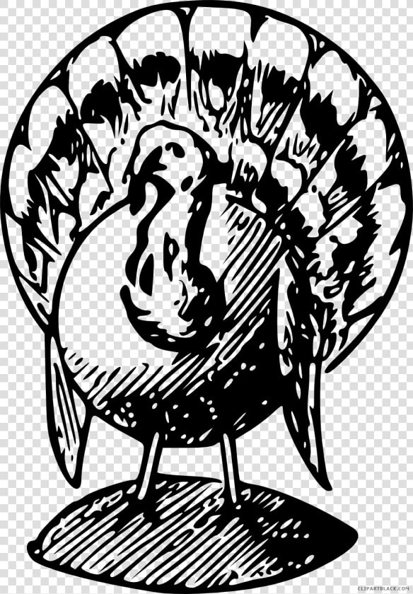 Turkey Png Black And White   Black And White Turkeys Clip Art  Transparent PngTransparent PNG