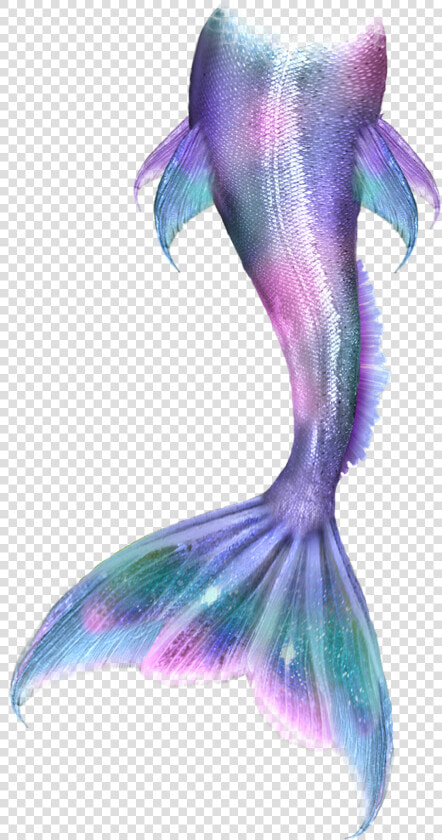  mermaidtail  mermaid  colorful  pink  purple  green   Mermaid Tail Anime  HD Png DownloadTransparent PNG