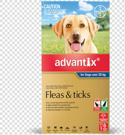 Advantix For Dogs Blue Over 25kg  HD Png DownloadTransparent PNG