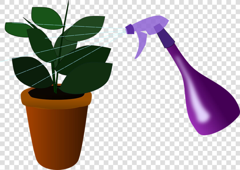 Houseplant  Plant  Watering  House Plant  Caring  Spray   Plants  HD Png DownloadTransparent PNG