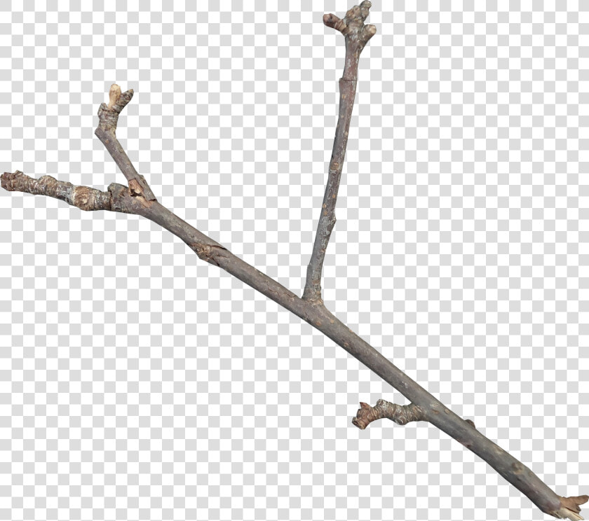 Twig Download Icon   Twig Png  Transparent PngTransparent PNG