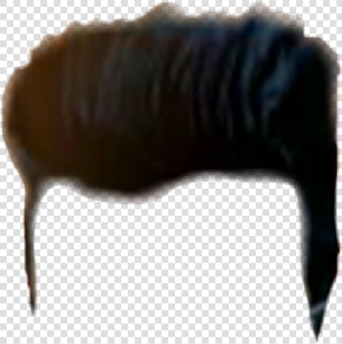 Hair Png  Hair Png Cb  Picsart Hair Png  Cb Hair Png    Insect  Transparent PngTransparent PNG