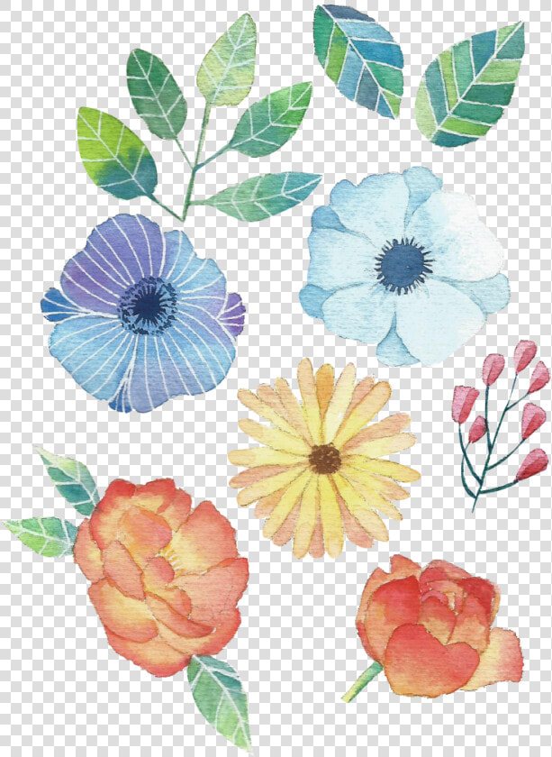 Flores En Acuarela  HD Png DownloadTransparent PNG