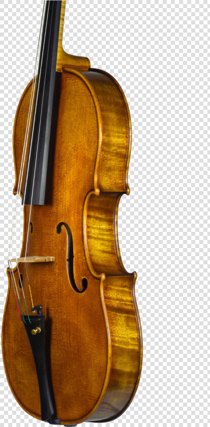 Viola  HD Png DownloadTransparent PNG