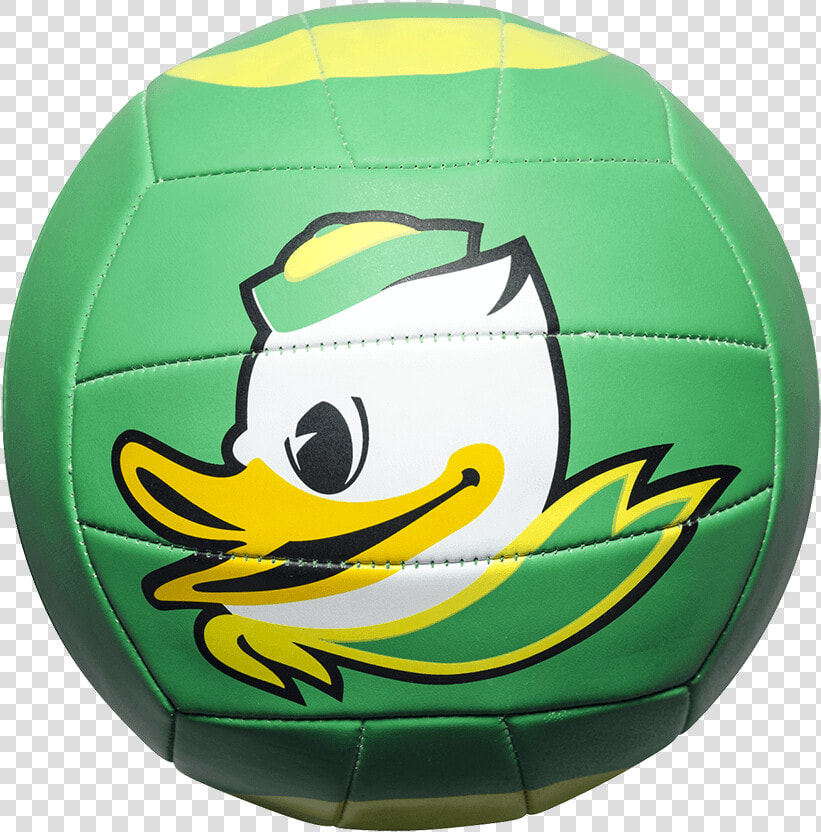 Custom Status Xcel Camp Volleyball   Futebol De Salão  HD Png DownloadTransparent PNG