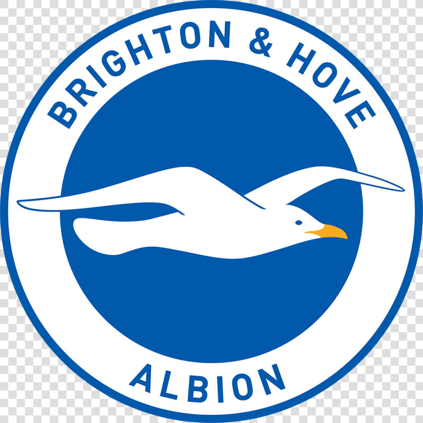 Brighton And Hove Albion  HD Png DownloadTransparent PNG