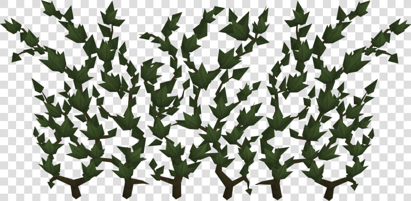 The Runescape Wiki   Runescape Ivy  HD Png DownloadTransparent PNG