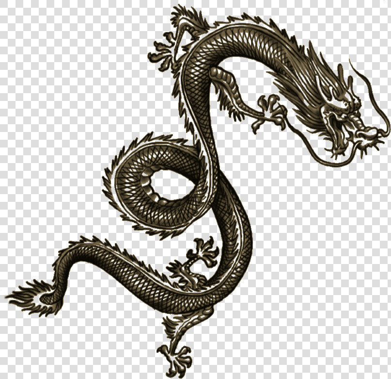 Wei Shen Tatt Dragon Tattoo Arm  Chinese Dragon Tattoos    Wei Shen Sleeping Dogs Tattoos  HD Png DownloadTransparent PNG