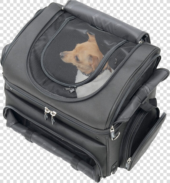 Saddlemen Pet Voyager   Motorcycle Pet Carrier  HD Png DownloadTransparent PNG