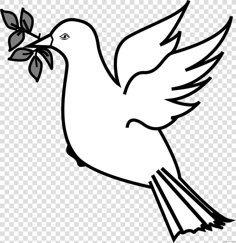 Clip Art Olive Branch Doves As Symbols Openclipart   Dove And Olive Branch Png  Transparent PngTransparent PNG