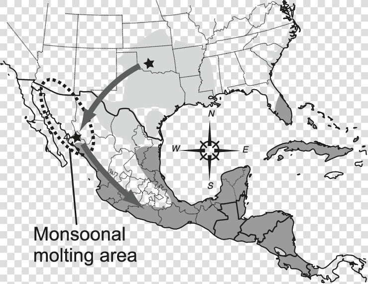 Map Of Southern United States And Mexico Showing Breeding   Distribution Of Montezuma Bald Cypress  HD Png DownloadTransparent PNG