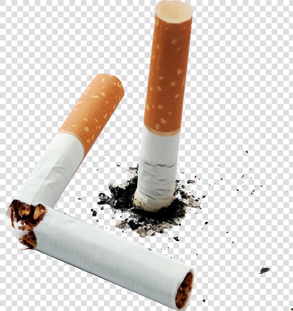 Cigarette Butt Png   Cigarette Butts Png  Transparent PngTransparent PNG