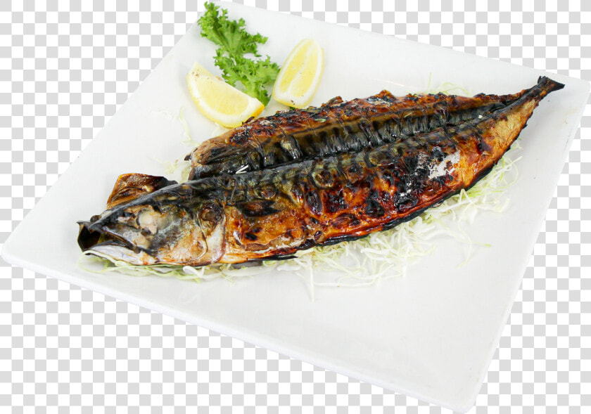 Pacific Saury  HD Png DownloadTransparent PNG