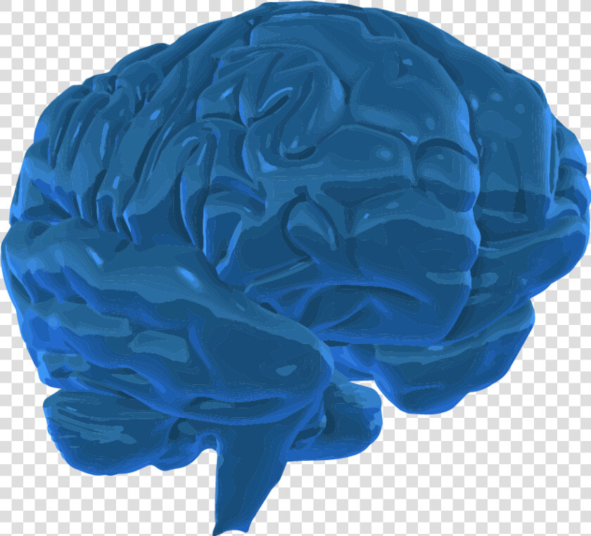 A 3d Graphic Image Of The Human Brain   3d Brain Think Transparent Background  HD Png DownloadTransparent PNG