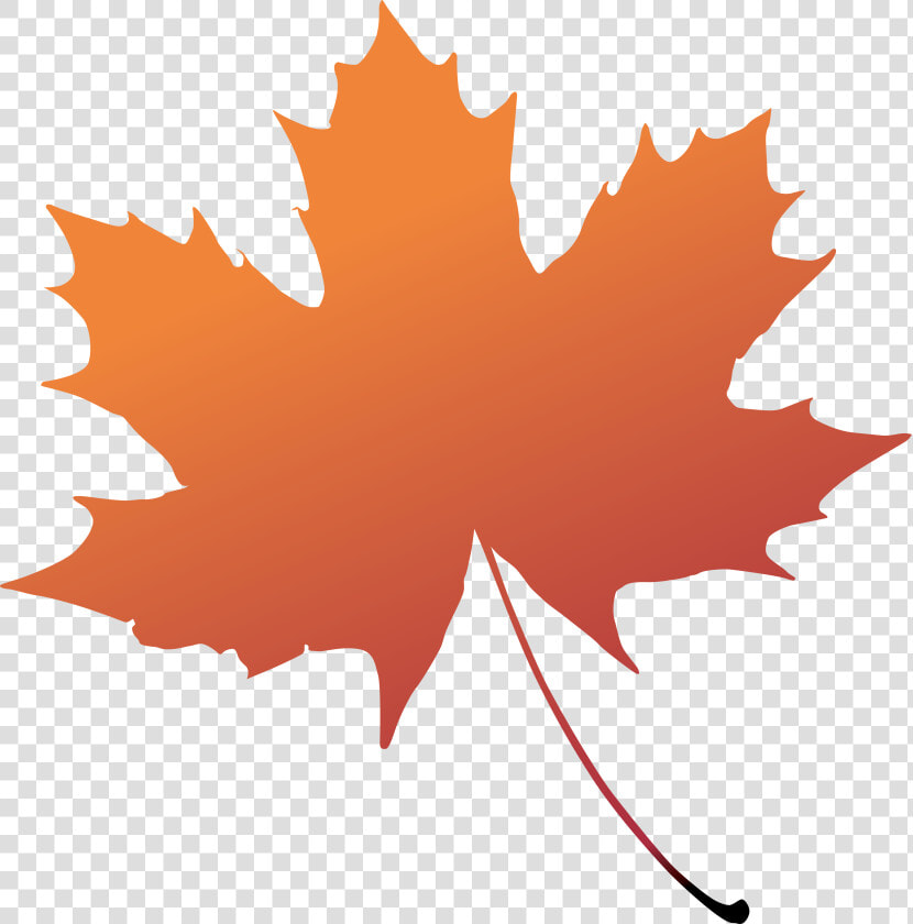 Maple Leaf Boxelder Maple Tree Plant   Green Maple Leaf Png  Transparent PngTransparent PNG