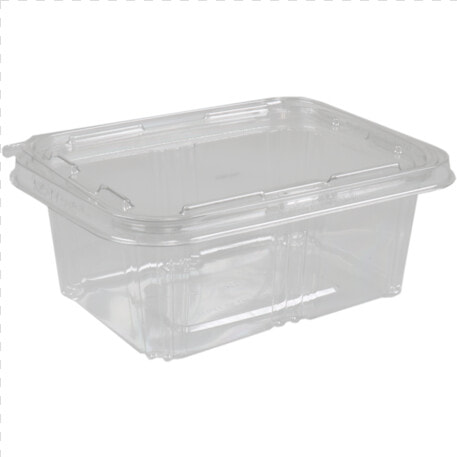 Container  Pet  1000cc  Salad Container    Box  HD Png DownloadTransparent PNG