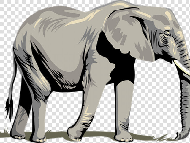 Tusk Clipart Asia Animal   Clipart Elephant Transparent Background  HD Png DownloadTransparent PNG